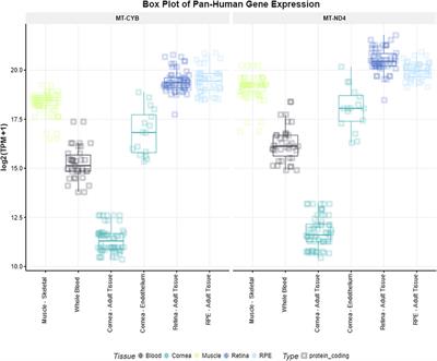 Mitochondrial Genome Study Identifies Association Between Primary Open-Angle Glaucoma and Variants in MT-CYB, MT-ND4 Genes and Haplogroups